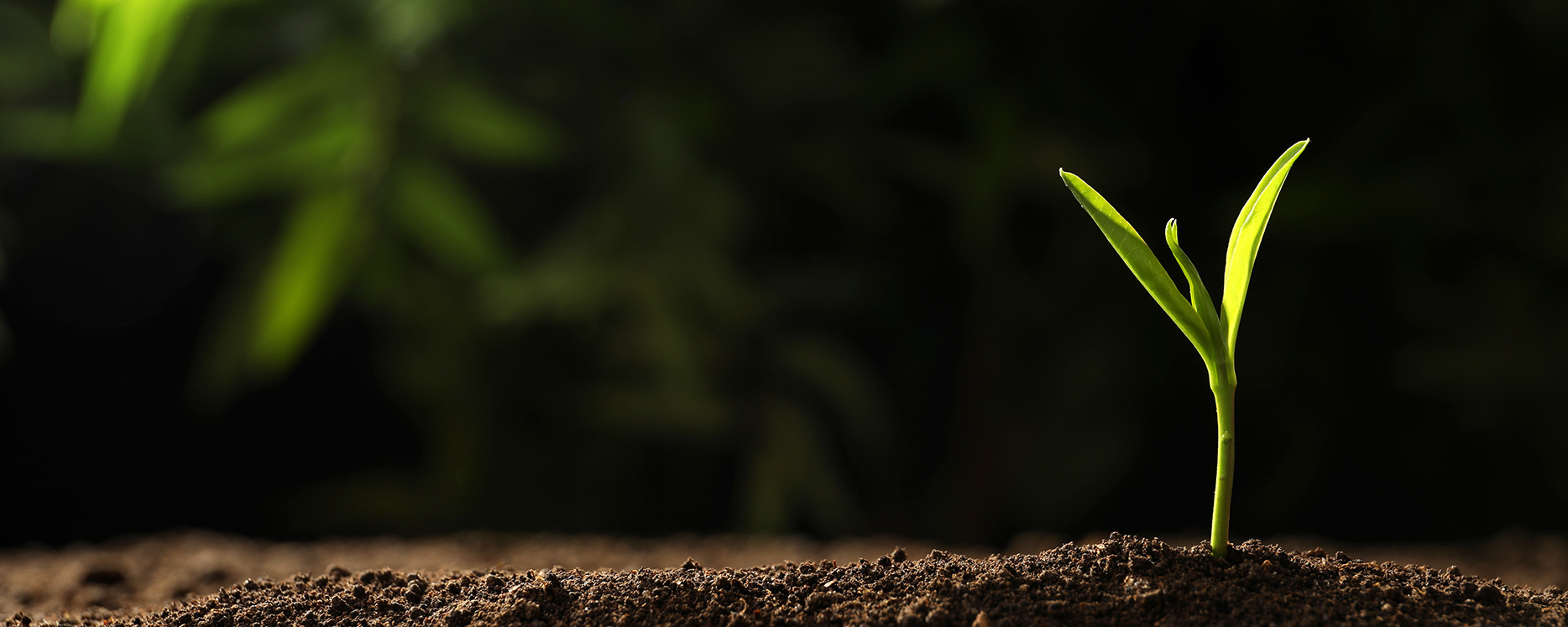 ��ʱ����(�й���)�������ǲ�